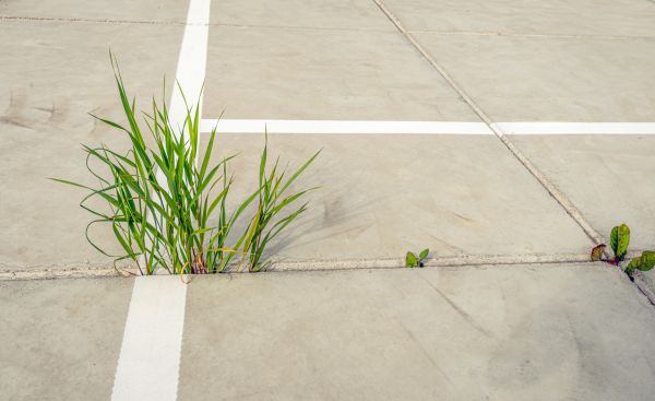 Concrete Parking Installation in Lynchburg